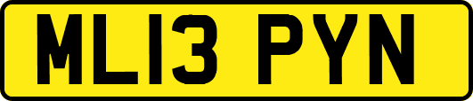 ML13PYN