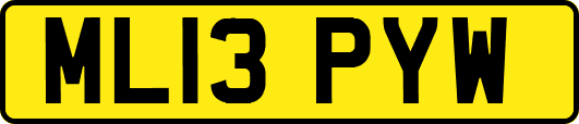 ML13PYW