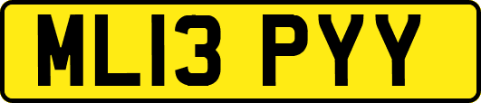 ML13PYY