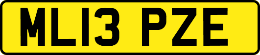 ML13PZE