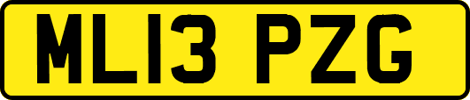 ML13PZG