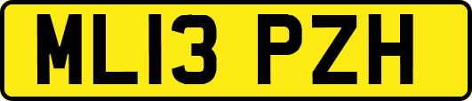 ML13PZH