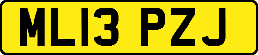 ML13PZJ