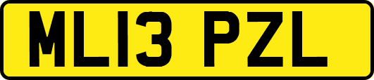 ML13PZL