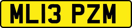 ML13PZM