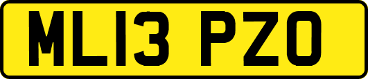 ML13PZO
