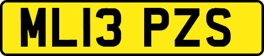 ML13PZS