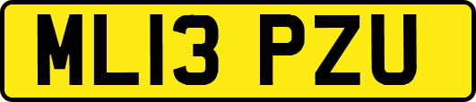 ML13PZU