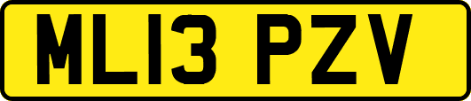 ML13PZV