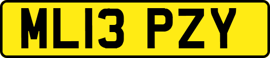 ML13PZY