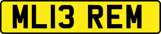 ML13REM