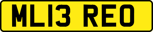ML13REO