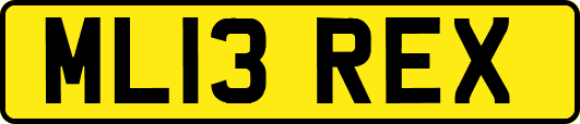 ML13REX