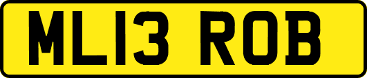 ML13ROB