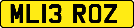 ML13ROZ
