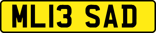 ML13SAD
