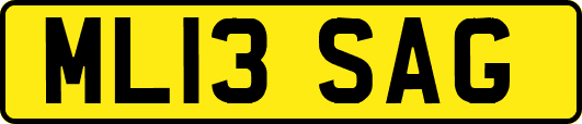 ML13SAG