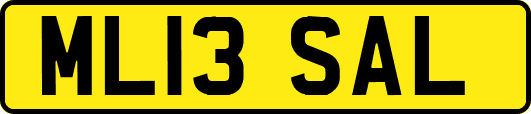 ML13SAL
