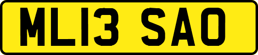 ML13SAO
