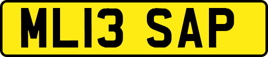 ML13SAP