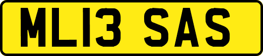 ML13SAS