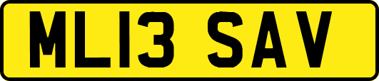 ML13SAV