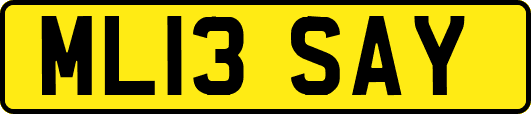 ML13SAY