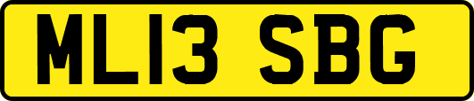 ML13SBG