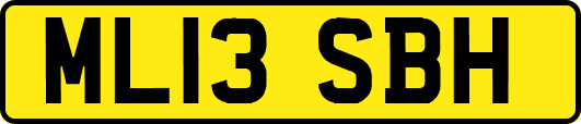 ML13SBH