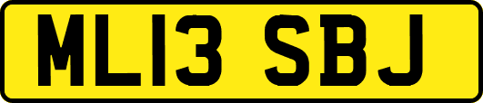 ML13SBJ