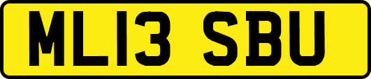 ML13SBU
