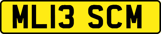 ML13SCM