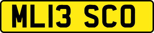 ML13SCO