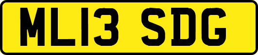 ML13SDG
