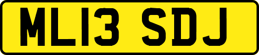 ML13SDJ
