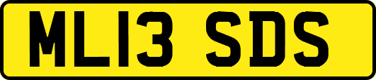 ML13SDS