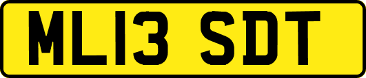 ML13SDT
