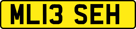 ML13SEH