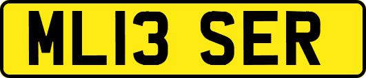 ML13SER