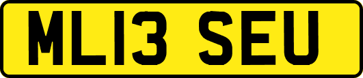 ML13SEU