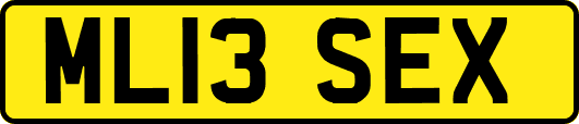 ML13SEX