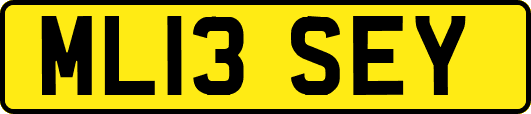 ML13SEY