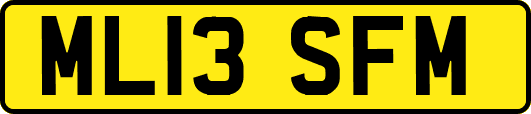 ML13SFM