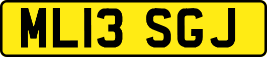 ML13SGJ