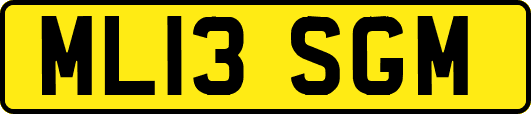 ML13SGM