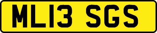 ML13SGS