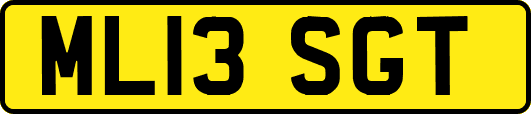 ML13SGT