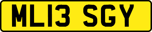 ML13SGY