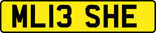 ML13SHE