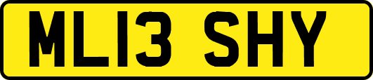 ML13SHY